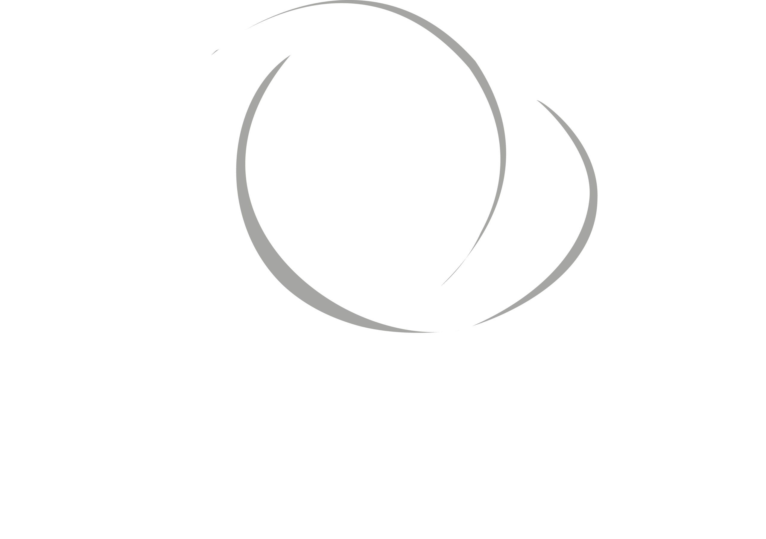 logo light