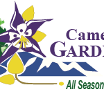 Camelot Logo_Full Color-01 (3)